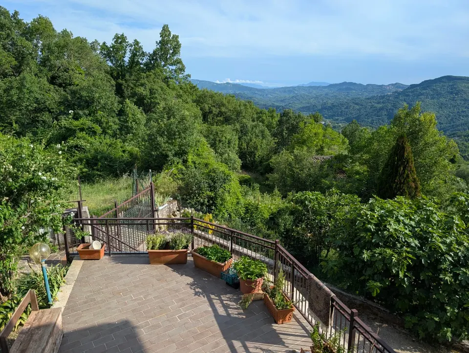 L’Atelier dell’Artista – scorcio