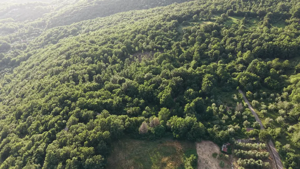 I boschi della Valle dell’Aniene visti dal drone
